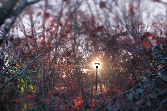 illuminazione1