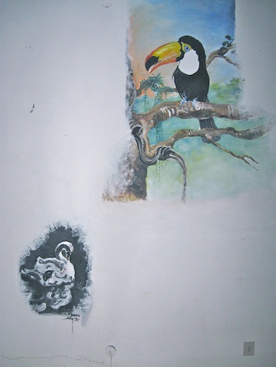disegni