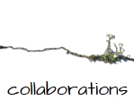 collaborazioni