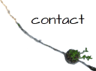 contatti