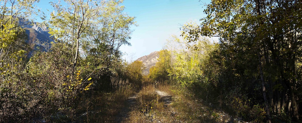 pontebbana2