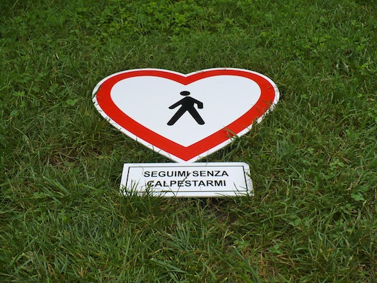 seguimi_senza_calpestarmi