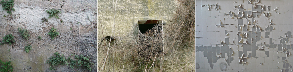 walls19